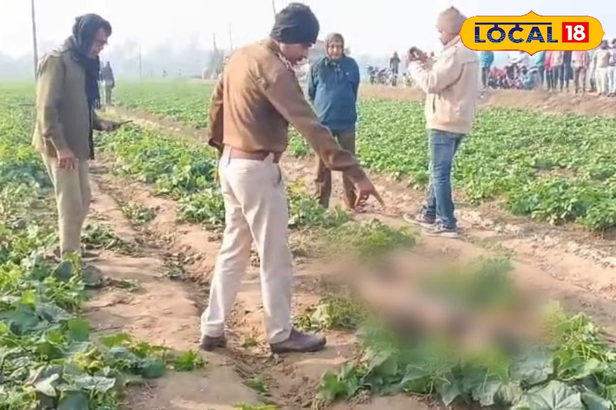 শসা ক্ষেত থেকে উদ্ধার যুবকের অর্ধনগ্ন দেহ, জামালপুরের কাণ্ডে ঘনাচ্ছে রহস্য