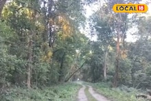 Alipurduar: চিলাপাতা জঙ্গলে মাঝ-রাস্তায় দাঁড়িয়ে বুনো হাতি, সামনে পেয়ে আছড়ে মারল ব্যক্তিকে, মর্মান্তিক কাণ্ড আলিপুরদুয়ারে