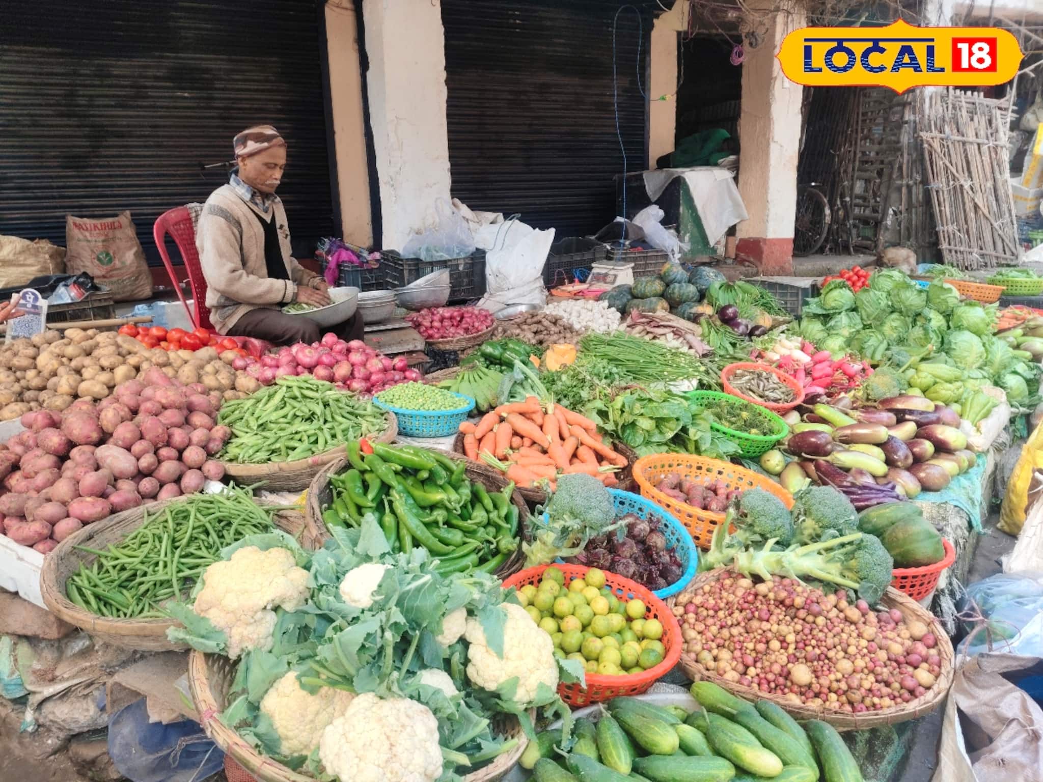 সরস্বতীপুজোর আগে এত কমে গেল সবজির দাম! 'সেঞ্চুরি' হাঁকানো বেগুন, টম্যাটো, বিনস এখন কত?
