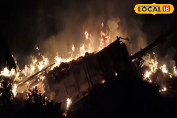 খড়বোঝাই গাড়িতে দাউদাউ করে আগুন, মথুরাপুরে ভয়াবহ দৃশ্য! বাঁচতে ফিল্মি কায়দায় লাফ চালকের