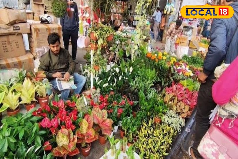 বীরভূম,সৌভিক রায়: সাধের বাড়িতে বিভিন্ন ধরনের গাছ লাগাতে পছন্দ করেন অনেকে। আর বিশেষ করে এই শীতের সুন্দর মরশুমে বিভিন্ন ধরনের ফুল ফলের গাছ লাগিয়ে থাকেন গাছ প্রেমী মানুষেরা। তবে অনেকেই জানেন না বাড়ির সামনে ঠিক কোন গাছ লাগানো উচিত এবং কোন গাছ লাগানো কোনওভাবেই উচিত না। আর এই বিষয়ে আমাদের জানিয়েছেন নলহাটি শহরের এক জ্যোতিষ শাস্ত্র বিশেষজ্ঞ সাধন বিশ্বাস।