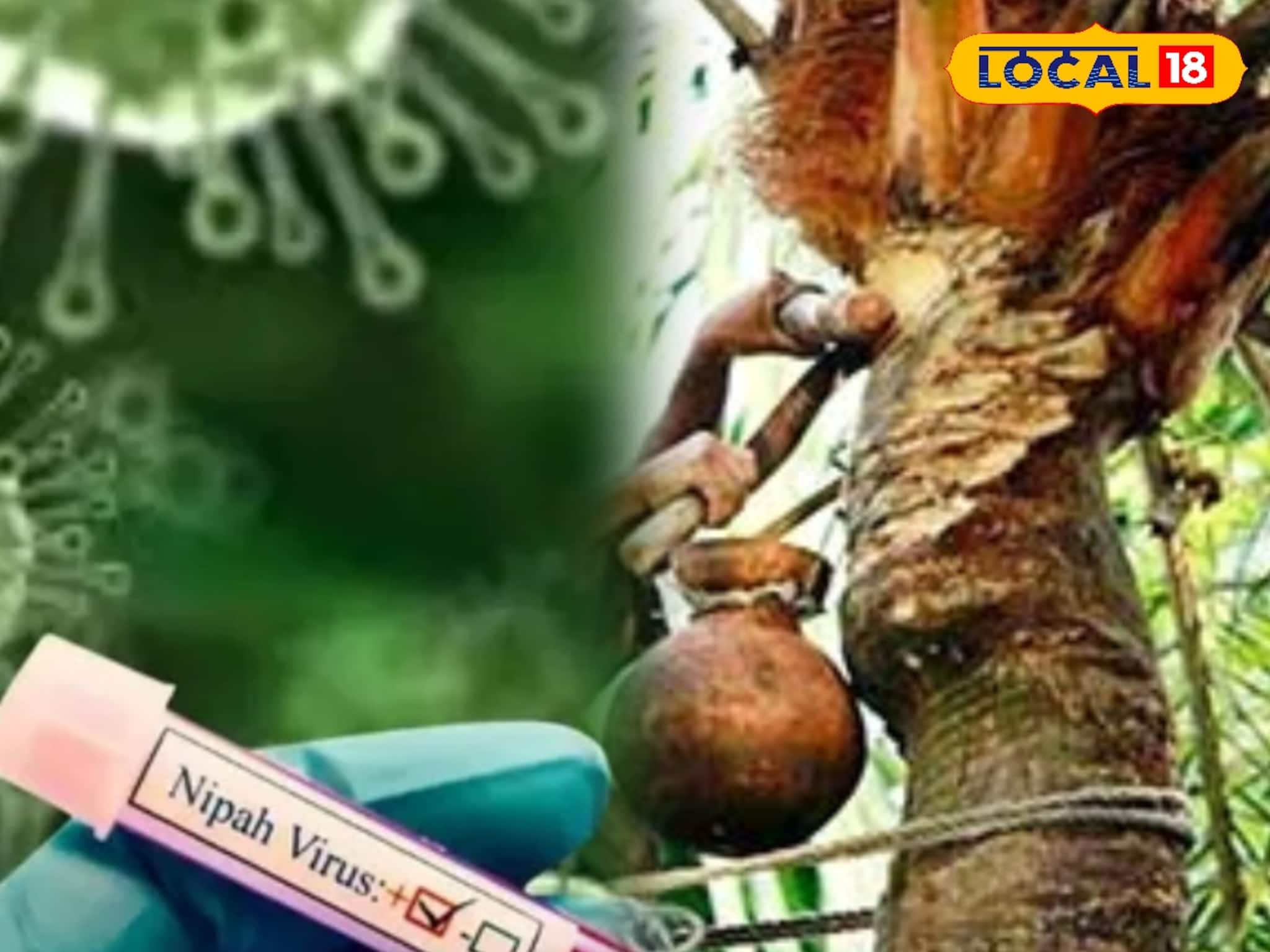 খেজুর 'গুড়' না খেজুর 'রস'! কী থেকে ছড়াচ্ছে নিপা ভাইরাস? সাবধান...! জানুন 'সঠিক' পরামর্শ
