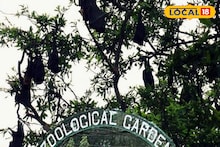 Nipah Virus: নিপা আতঙ্কে কড়া সতর্কতা আলিপুর চিড়িয়াখানায়, নেওয়া হচ্ছে পর্যাপ্ত ব্যবস্থা