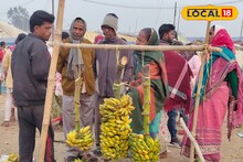 Birbhum News: কলা না পাঠালে সম্মান নেই! জানুন জয়দেব মেলায় ৬০ লরি কলা বিক্রির নেপথ্য কাহিনি