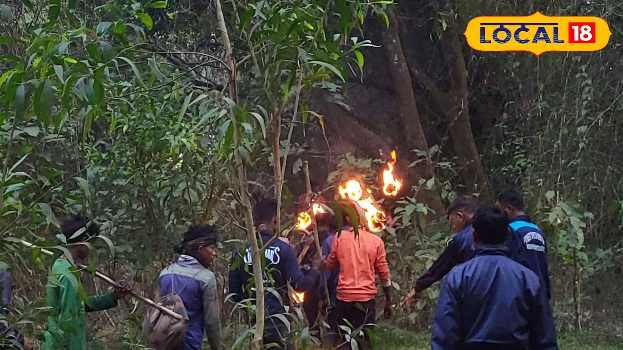 Jhargram News: হাতির হানায় মর্মান্তিক মৃত্যু হুলা পার্টির সদস্যের, চাঞ্চল্য জঙ্গলমহলে