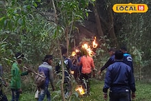 Jhargram News: হাতির হানায় মর্মান্তিক মৃত্যু হুলা পার্টির সদস্যের, চাঞ্চল্য জঙ্গলমহলে