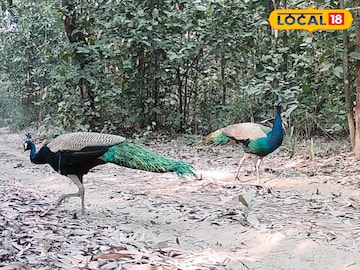 আউশগ্রাম