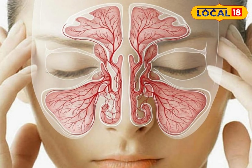 সাইনাস হল চোখের চারপাশে, গালে, কপালে এবং নাকের পিছনে ছড়িয়ে থাকা কয়েকটি ফাঁকা অংশ, যার সঙ্গে সরাসরি যোগ রয়েছে নাসাপথের। মূলত নিঃশ্বাস-প্রশ্বাসে সাহায্য করাই সাইনাসের কাজ। এরা এক দিকে যেমন মিউকাস তৈরি করে নিশ্বাস নেওয়ার জায়গাটিকে আর্দ্র রাখে, তেমনই শ্বাসের মাধ্যমে নাকের ভিতরে প্রবিষ্ট হাওয়াকে পরিশ্রুত করতেও সাহায্য করে।