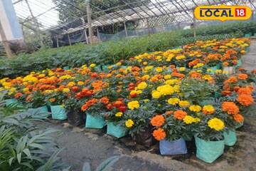 সরস্বতী পুজো আসতেই বাড়ছে ফুলের চাহিদা! হাওড়ায় ফুলের বাজারে ভিড়