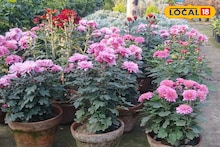 Howrah News: সরস্বতী পুজো আসতেই বাড়ছে ফুলের চাহিদা! হাওড়ায় ফুলের বাজারে ভিড়