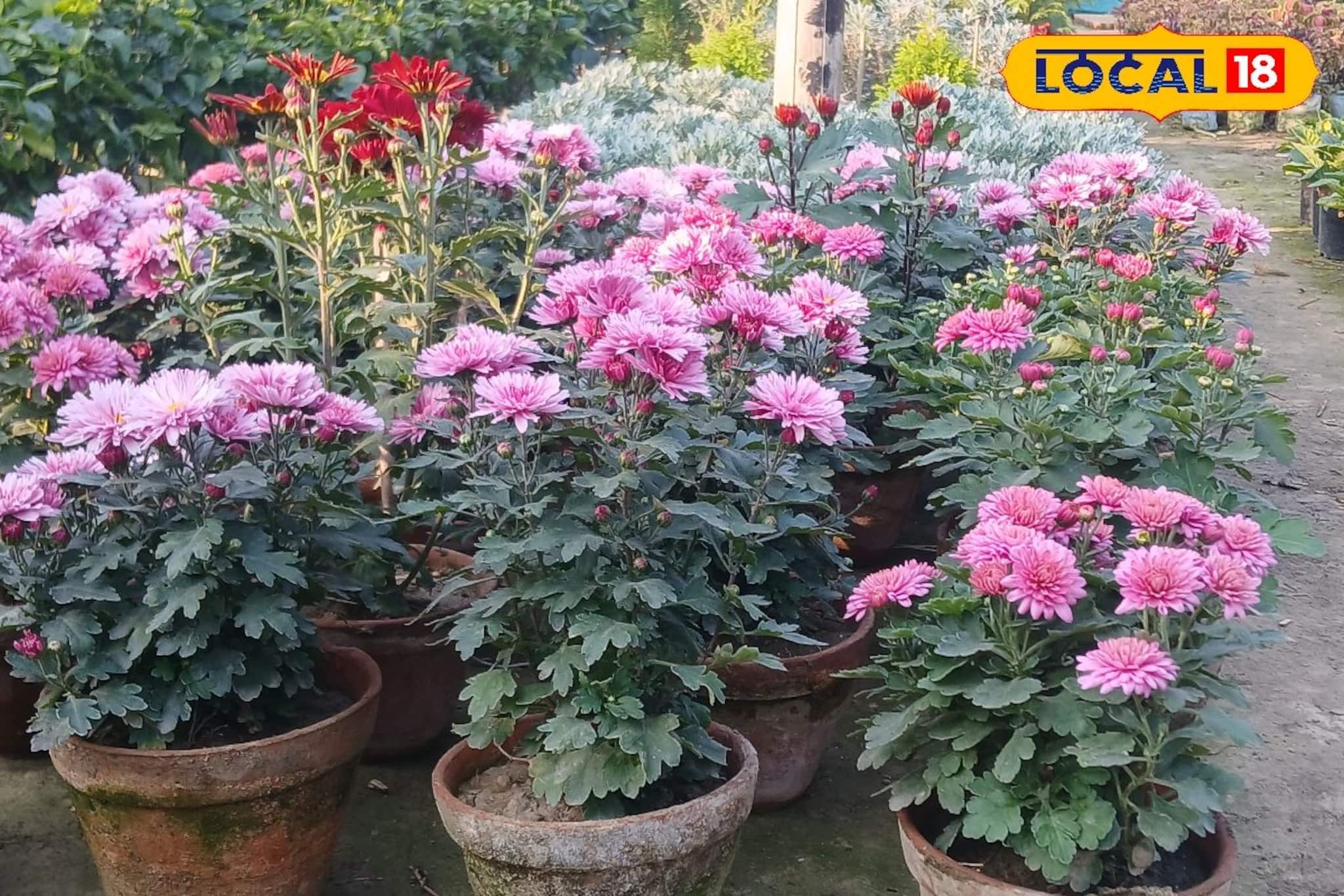 সরস্বতী পুজো আসতেই বাড়ছে ফুলের চাহিদা! হাওড়ায় ফুলের বাজারে ভিড়