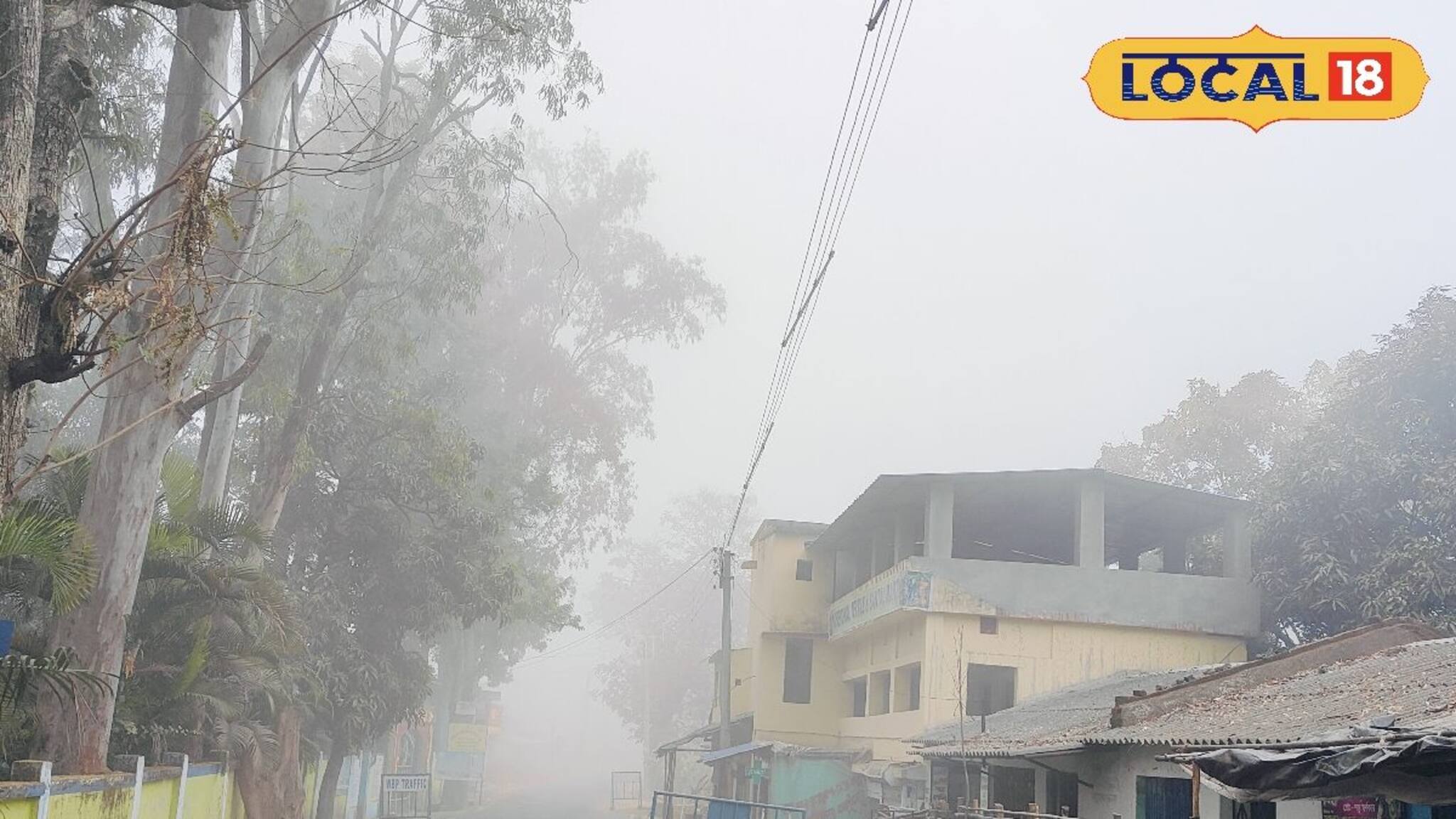Spring Alert: এটা কী সত্যিই শীতের বিদায়! বসন্ত এবার এল বলে, নাকি দুদিন পরেই ফের ফিরবে ঠান্ডার ছোবল, ওয়েদার আপডেট