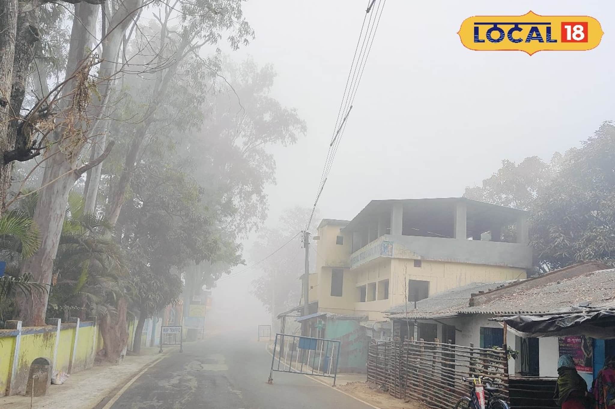 সত্যিই শীতের বিদায়! বসন্ত এবার এল বলে,নাকি ২দিন পরেই ফের ফিরবে ঠান্ডার ছোবল,ওয়েদার আপডেট