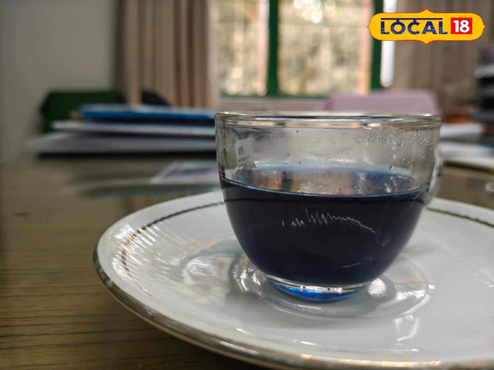 বাজারের ভেজাল ব্লু টি নয়, ঘরেই বানান খাঁটি নীল চা, জানুন পদ্ধতি