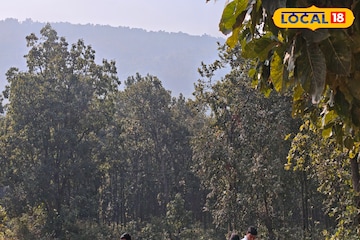 দিনে গরম, রাতে ঠান্ডা! দক্ষিণবঙ্গের একাধিক জেলায় শীতের লুকোচুরি শুরু, আবহাওয়ার বড় আপডেট