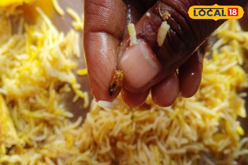 বিরিয়ানির বাক্স খুলতেই চক্ষু চড়কগাছ! নামজাদা দোকানের খাবারে পড়ে রয়েছে আরশোলা... তোলপাড়