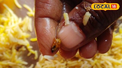 বিরিয়ানিতে পাওয়া গেল আরশোলা