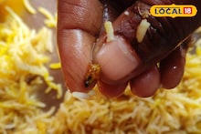 বিরিয়ানির বাক্স খুলতেই চক্ষু চড়কগাছ! নামজাদা দোকানের খাবারে পড়ে রয়েছে আরশোলা... তোলপাড় কাণ্ড