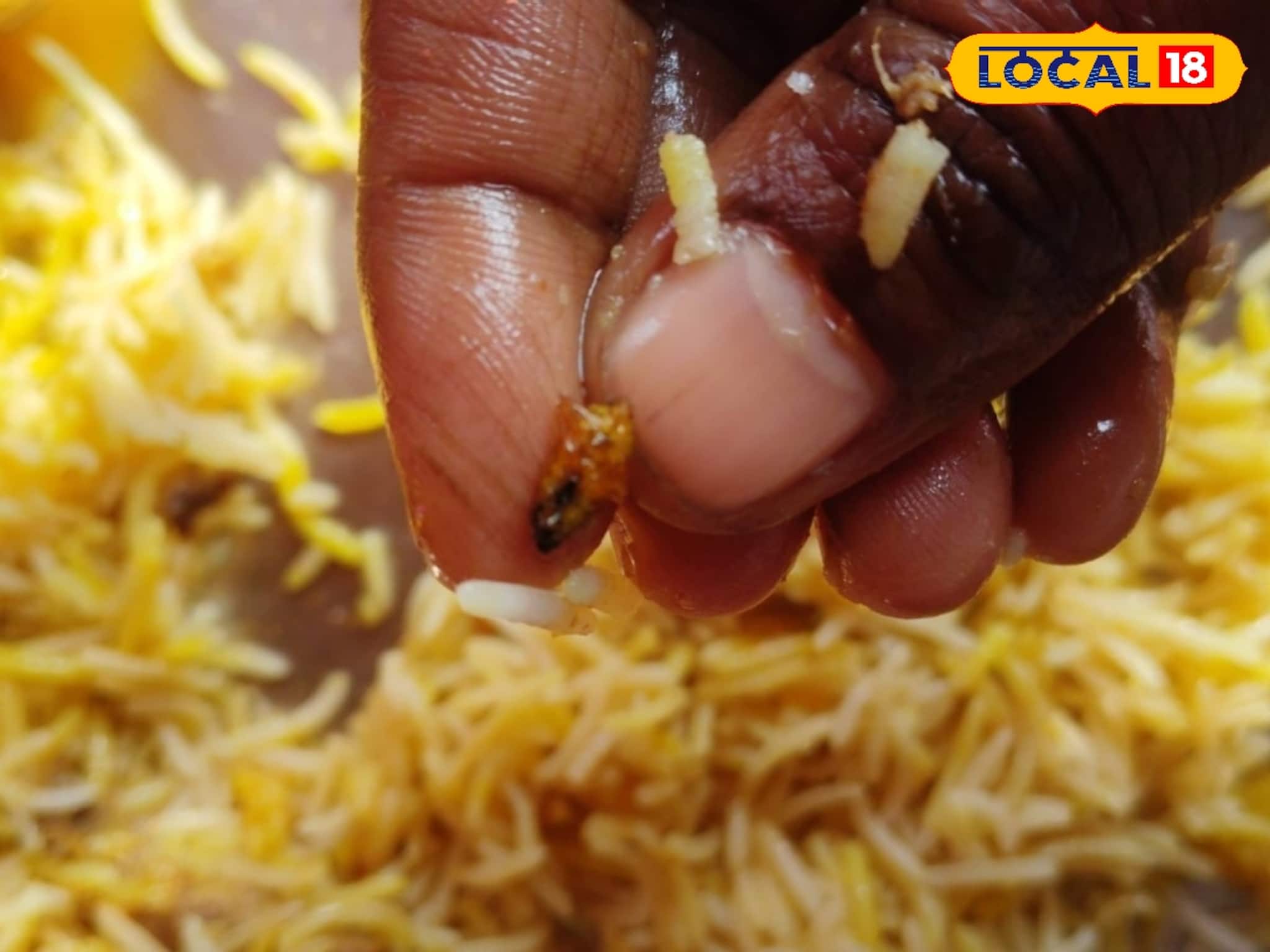 বিরিয়ানির বাক্স খুলতেই চক্ষু চড়কগাছ! নামজাদা দোকানের খাবারে পড়ে রয়েছে আরশোলা... তোলপাড়