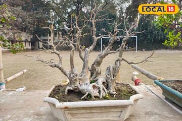 মুখস্থবিদ্যা ছেড়ে হাতেকলমে 'পরিবেশ পরিচয়'! কৃষ্ণনগরের স্কুলে অভিনব আয়োজন