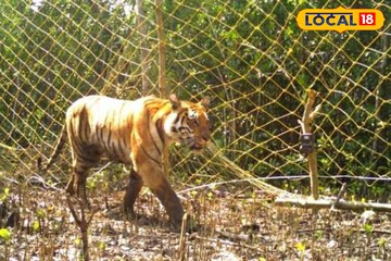 প্রত্যন্ত এলাকাতেই বিরাট আয়োজন! সুন্দরবনে কৃষি প্রদর্শনী ও জীব বৈচিত্র্য সংরক্ষণ মেলা