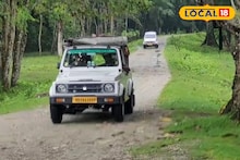 Jaldapara National Park: জলদাপাড়ায় জিপ সাফারি করতে চান? কতক্ষণ আগে লাইনে দাঁড়াতে হবে, টিকিট পাবেন কীভাবে? জেনে নিন