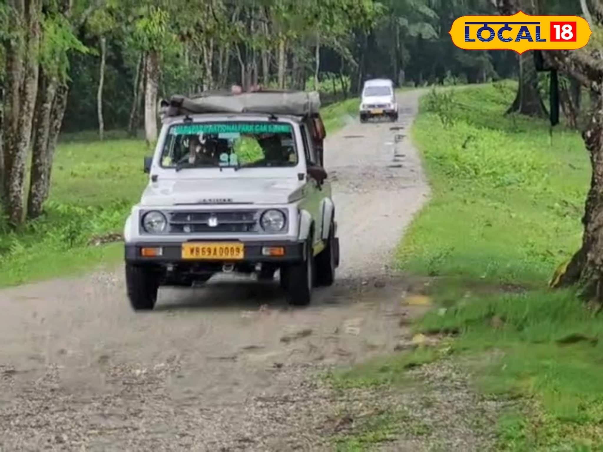 জলদাপাড়ায় জিপ সাফারি করতে চান? কতক্ষণ আগে লাইনে দাঁড়াতে হবে, টিকিট পাবেন কীভাবে?