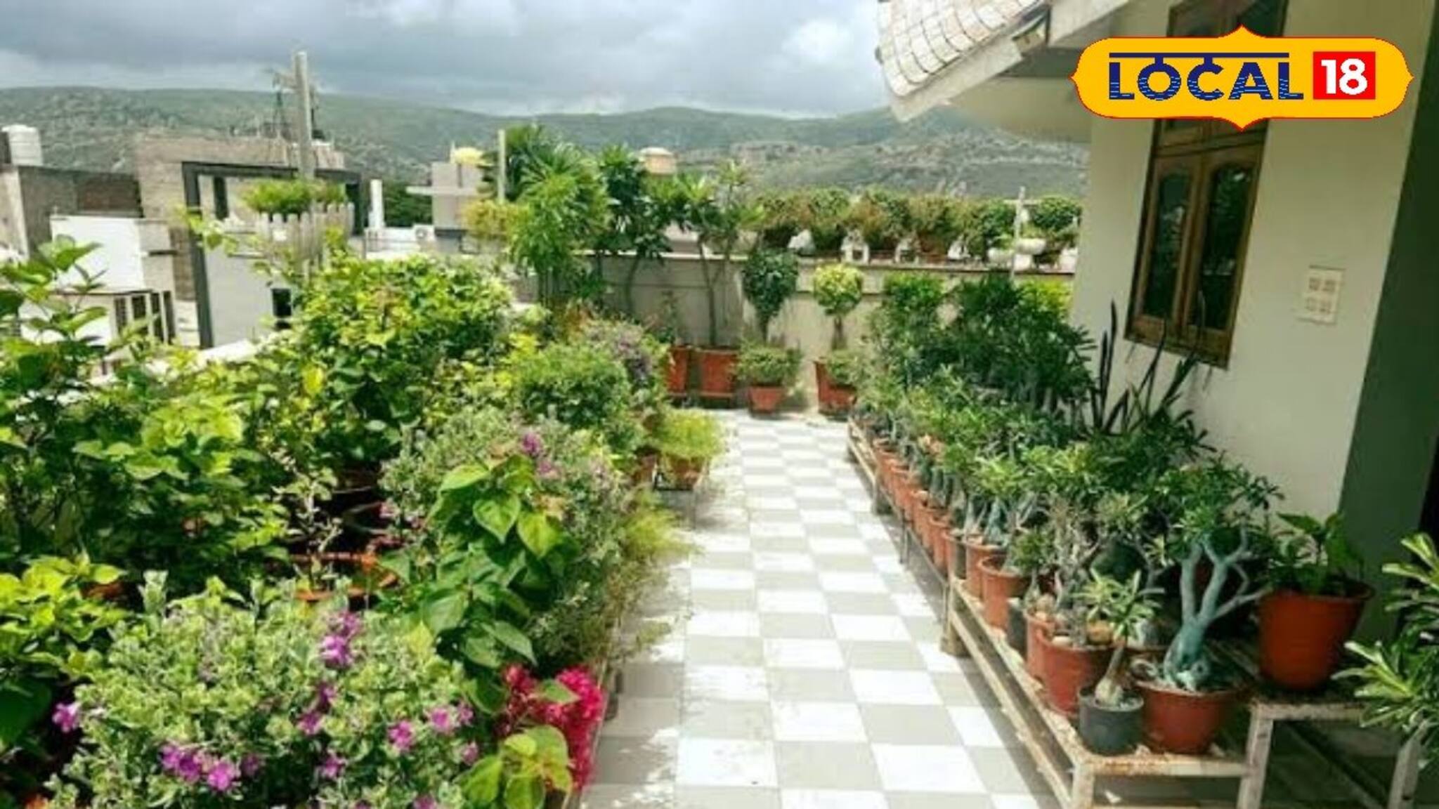 ছাদের বাগানে ভুরিভুরি ফুল, টবেই হবে ‘গুলবাহার’, সস্তার কিছু জিনিস মেশান মাটিতে, পরামর্শ...