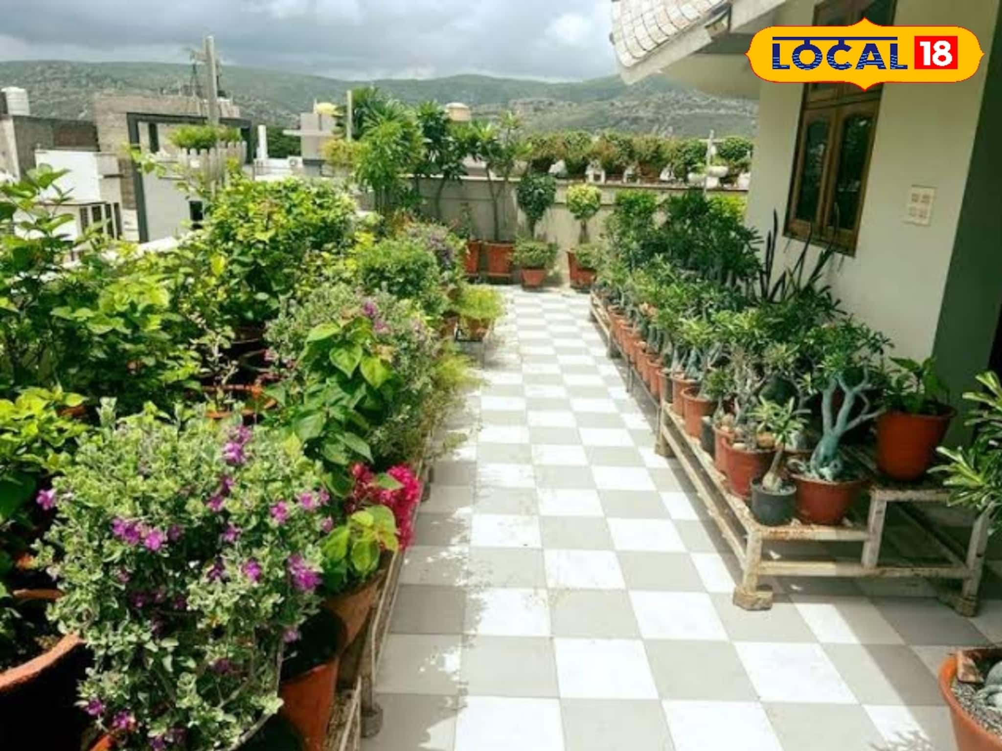 ছাদের বাগানে ভুরিভুরি ফুল, টবেই হবে ‘গুলবাহার’, সস্তার কিছু জিনিস মেশান মাটিতে, পরামর্শ...