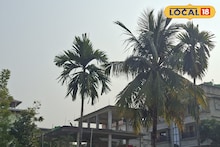 IMD Weather Update: সরস্বতী পুজোর আগে আবহাওয়ার ভোলবদল, সকালে ঘন কুয়াশা আর বেলা বাড়তেই রোদের ঝলক