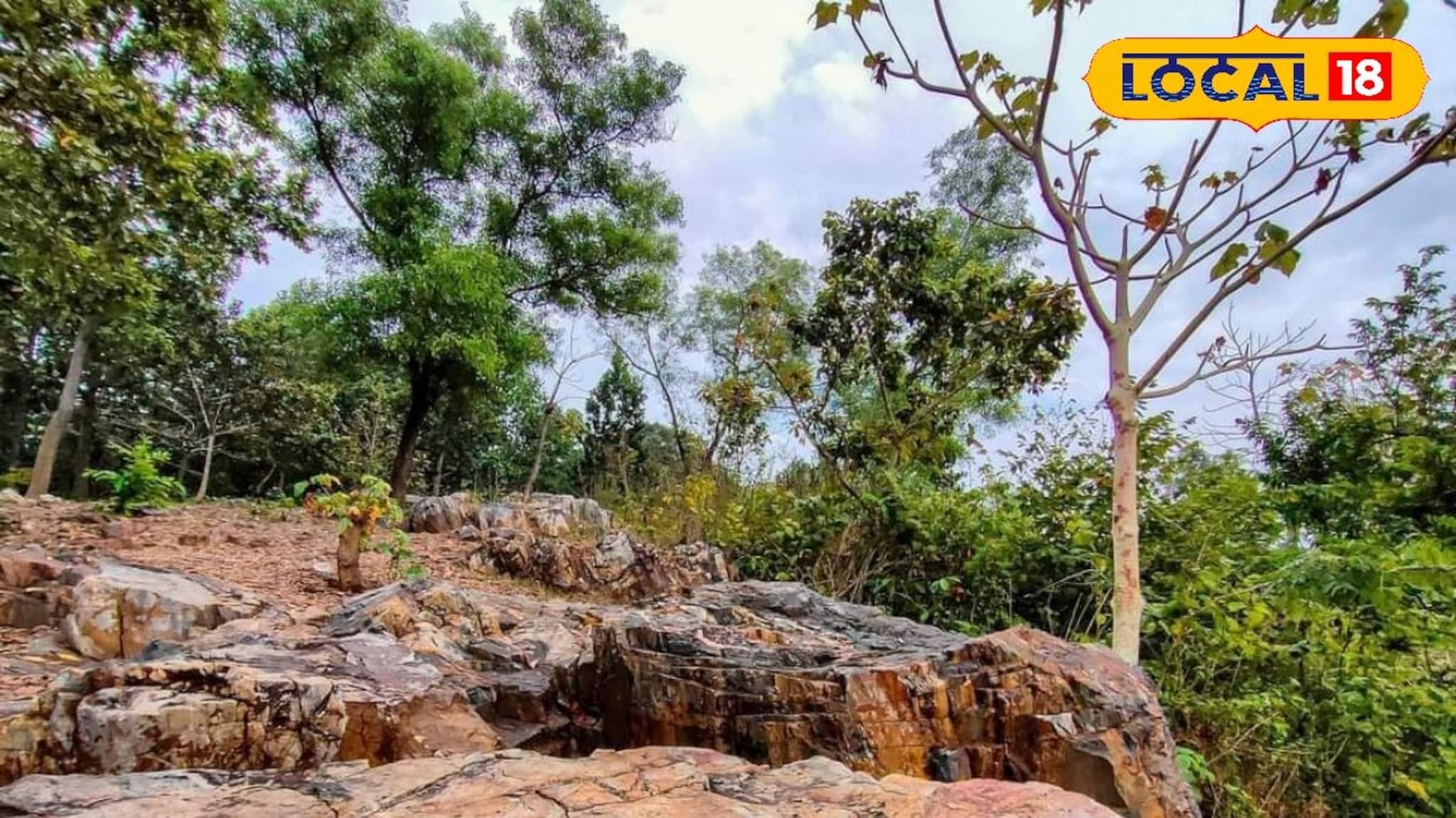 পশ্চিমী ঝঞ্ঝায় তাপমাত্রা ঊর্ধ্বমুখী! জেলায় জেলায় তাপমাত্রার কী হাল? রইল আপডেট