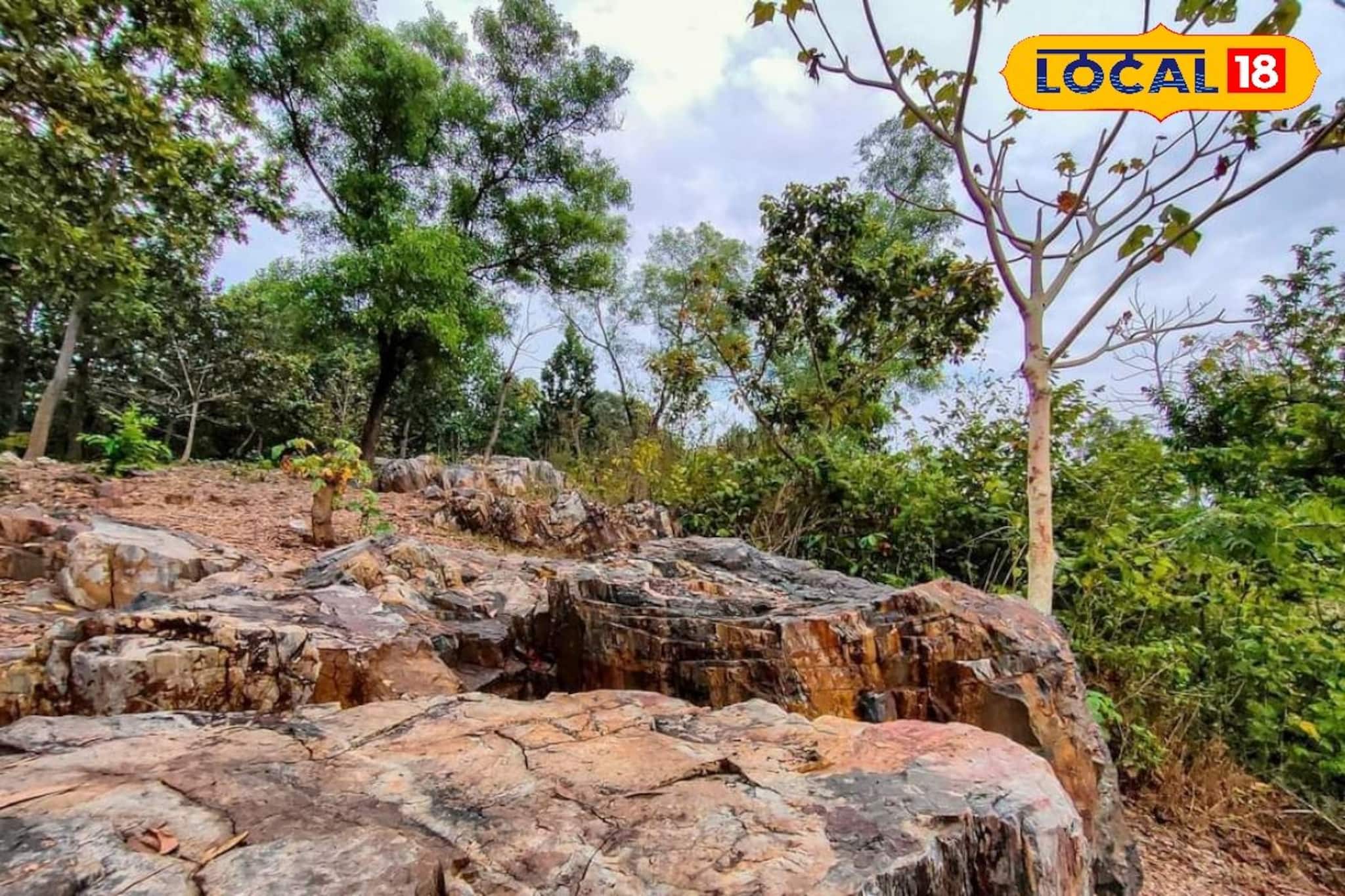 পশ্চিমী ঝঞ্ঝায় তাপমাত্রা ঊর্ধ্বমুখী! জেলায় জেলায় তাপমাত্রার কী হাল? রইল আপডেট