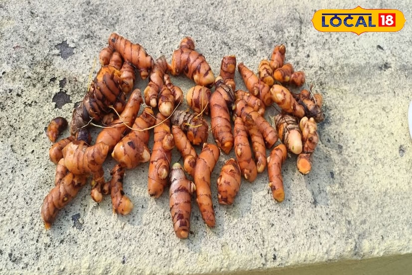 সরস্বতী পুজোয় কাঁচা হলুদের মাহাত্ম্য কী জানেন? পুজোর নস্টালজিয়ার সঙ্গে ত্বকের উপকারিতা অঙ্গাঙ্গিভাবে জড়িত। বিদ্যার দেবী সরস্বতীর আরাধনায় বাঙালি ঘরে ঘরে শুরু প্রস্তুতি। ফুল, কড়ি, খাগের কলমের পাশাপাশি এই পুজোর একটি গুরুত্বপূর্ণ উপকরণ হল কাঁচা হলুদ। আয়ুর্বেদ ও আধুনিক ত্বকচর্চাতেও কাঁচা হলুদের গুরুত্ব অপরিসীম। সরস্বতী পুজোয় কাঁচা হলুদের মাহাত্ম্য কী জানেন? পুজোর নস্টালজিয়ার সঙ্গে ত্বকের উপকারিতা অঙ্গাঙ্গিভাবে জড়িত। বিদ্যার দেবী সরস্বতীর আরাধনায় বাঙালি ঘরে ঘরে শুরু প্রস্তুতি। ফুল, কড়ি, খাগের কলমের পাশাপাশি এই পুজোর একটি গুরুত্বপূর্ণ উপকরণ হল কাঁচা হলুদ। আয়ুর্বেদ ও আধুনিক ত্বকচর্চাতেও কাঁচা হলুদের গুরুত্ব অপরিসীম।