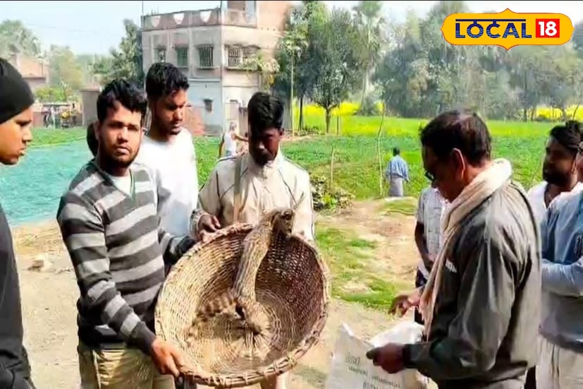 বীরভূম,সৌভিক রায়: গন্ধগোকুল অনেকেই এই নামের সঙ্গে পরিচিত না। এই গন্ধগোকুল বর্তমানে অরক্ষিত প্রাণী হিসেবে বিবেচিত। পুরোনো গাছ, বন-জঙ্গল কমে যাওয়ায় দিন দিন এদের সংখ্যা কমে যাচ্ছে।আন্তর্জাতিক প্রকৃতি ও প্রাকৃতিক সম্পদ সংরক্ষণ সংঘের বিবেচনায় পৃথিবীর বিপন্ন প্রাণীর তালিকায় উঠে এসেছে এই প্রাণীটি। আফ্রিকা, দক্ষিণ-পূর্ব এশিয়াসহ বিভিন্ন স্থানে বিভিন্ন প্রজাতির গন্ধগোকুলের বাস।