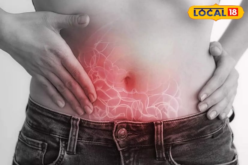 খাওয়ার পরেই পেটে ব্যথা হয়? হজমের সমস্যা, পেটফাঁপা ইত্যাদি বলেই অবহেলা করে চলেছেন দিনের পর দিন। এর নেপথ্যে থাকতে পারে জটিল রোগও। যদি দেখা যায় এ ব্যথা দীর্ঘ দিন ধরে কষ্ট দিচ্ছে, সঙ্গে বমি ভাবও রয়েছে, তা হলে চিকিৎসকের সঙ্গে দ্রুত কথা বলা দরকার। কিন্তু কোন রোগের ইঙ্গিত বহন করছে এই উপসর্গ?