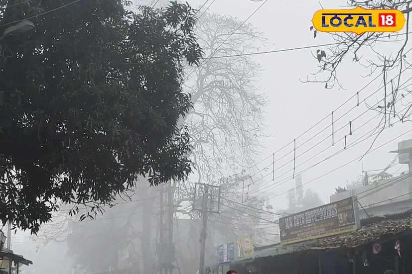 শিলিগুড়ি, ঋত্বিক ভট্টাচার্য: সরস্বতী পুজোর সকালে উত্তরবঙ্গ জুড়ে আবহাওয়ার আচমকা বদল চোখে পড়ল। ভোর থেকেই হালকা শীতের আমেজের সঙ্গে কোথাও কোথাও কুয়াশার চাদরে ঢেকে গেল চারপাশ। পুজোর দিন সকালে মণ্ডপে মণ্ডপে দেবীর আরাধনার প্রস্তুতির মাঝেই আবহাওয়ার এই পরিবর্তন সাধারণ মানুষের নজর কেড়েছে।