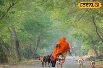 বাজল শীতের ছুটির ঘণ্টা! সরস্বতী পুজোর দিন থেকে আবহাওয়া বদল