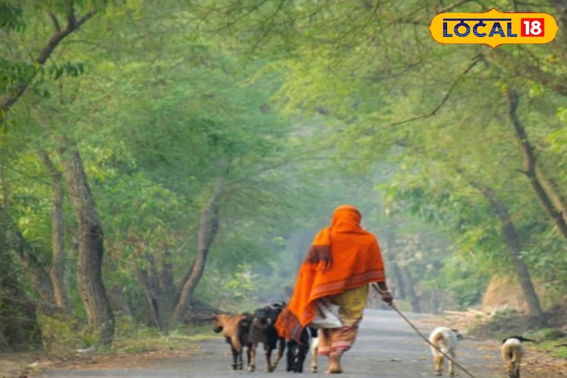 সরস্বতী পুজোর পর আবহাওয়া বদল! হাওয়া অফিসের রিপোর্টে আবহাওয়া পরিবর্তনের ইঙ্গিত। দিনের তাপমাত্রা বাড়বে। সন্ধ্যেবেলা ও রাতে হালকা শীতের আমেজ। আগামী সপ্তাহ থেকে শীতের কার্যত বিদায়! (ছবি ও তথ্য সৈকত শী)