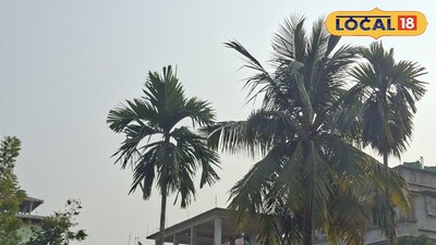 উত্তরবঙ্গে বাড়ছে তাপমাত্রা, বদলাচ্ছে আবহাওয়া!