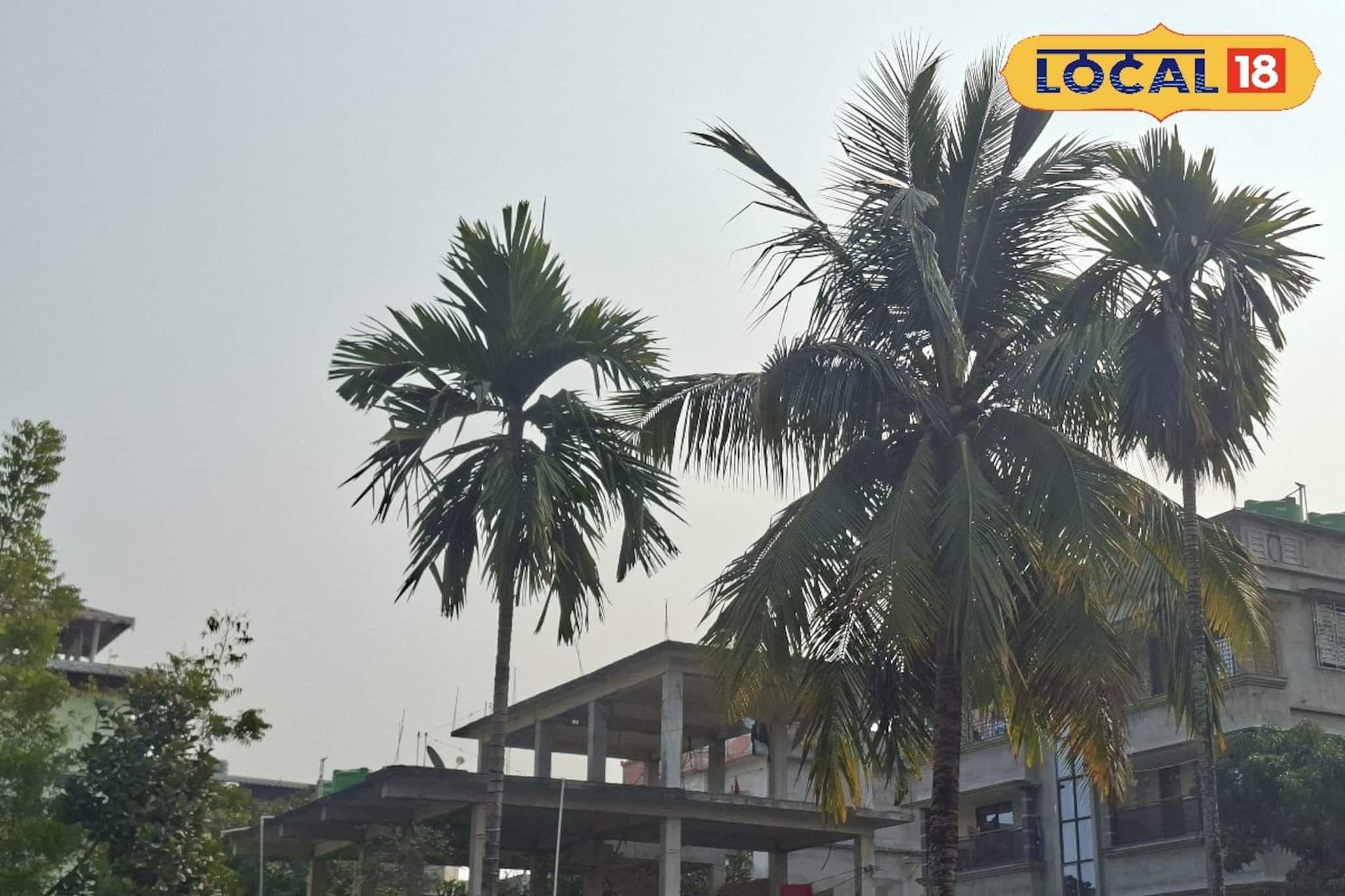 উত্তরবঙ্গে ঊর্ধ্বমুখী তাপমাত্রা, পাহাড়-সমতলে ফের বদলাচ্ছে আবহাওয়ার মেজাজ