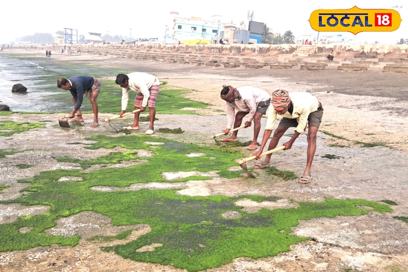 খবর প্রকাশের জেরে তৎপর হয়ে উঠল প্রশাসন। দিঘায় ঘুরতে এসে আর সমস্যায় পড়তে হবে না পর্যটকদের। দিঘার সমুদ্র সৈকতের বিভিন্ন স্নানঘাটে জমে থাকা শ্যাওলা নিয়ে দীর্ঘদিন ধরেই অভিযোগ ছিল। সেই অভিযোগ সামনে আসতেই নড়েচড়ে বসে দিঘা-শঙ্করপুর উন্নয়ন পর্ষদ। পর্যটকদের নিরাপত্তাকে গুরুত্ব দিয়েই শুরু হয়েছে দ্রুত পরিষ্কারের কাজ।