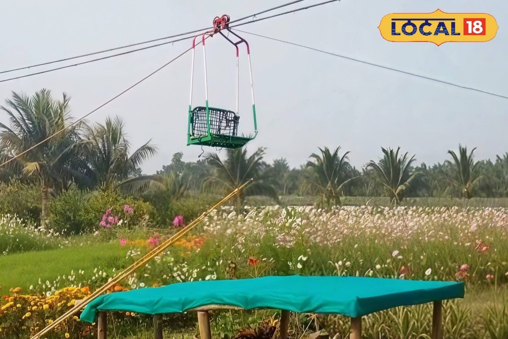 ফুলের রঙে রঙীন নদীর পাড়, ঝুলন্ত সিঁড়ি...! মন ভাল করবে এক টুকরো ‘হংকং’