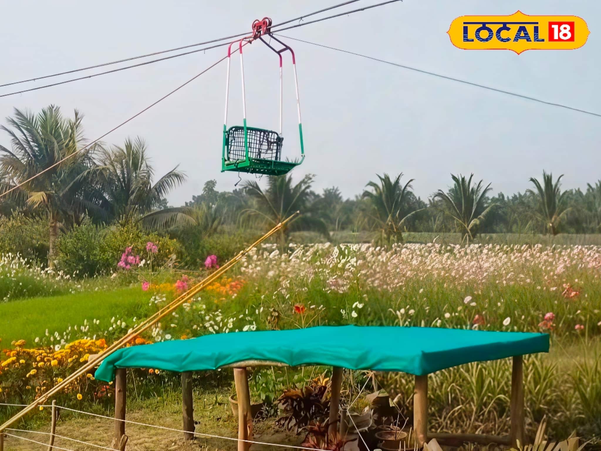ফুলের রঙে রঙীন নদীর পাড়, ঝুলন্ত সিঁড়ি...! মন ভাল করবে এক টুকরো ‘হংকং’ ফুলের রঙে রঙীন নদীর পাড়, ঝুলন্ত সিঁড়ি...! মন ভাল করবে এক টুকরো ‘হংকং’