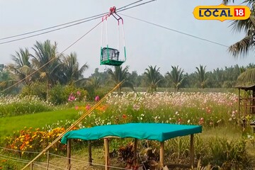 ফুলের রঙে রঙীন নদীর পাড়, ঝুলন্ত সিঁড়ি...! মন ভাল করবে এক টুকরো ‘হংকং’