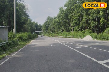 থমকে গেল জাতীয় সড়ক, লাটাগুড়ির জঙ্গলে হঠাৎ ‘রোড শো’ দাঁতালের! পর্যটকদের উল্লাস দেখে কে