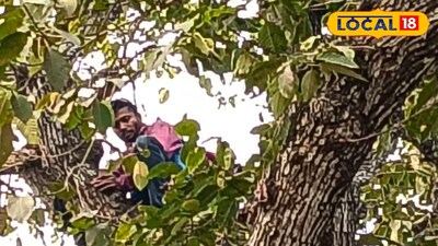 গাছে উঠে রয়েছেন ওই ব্যক্তি