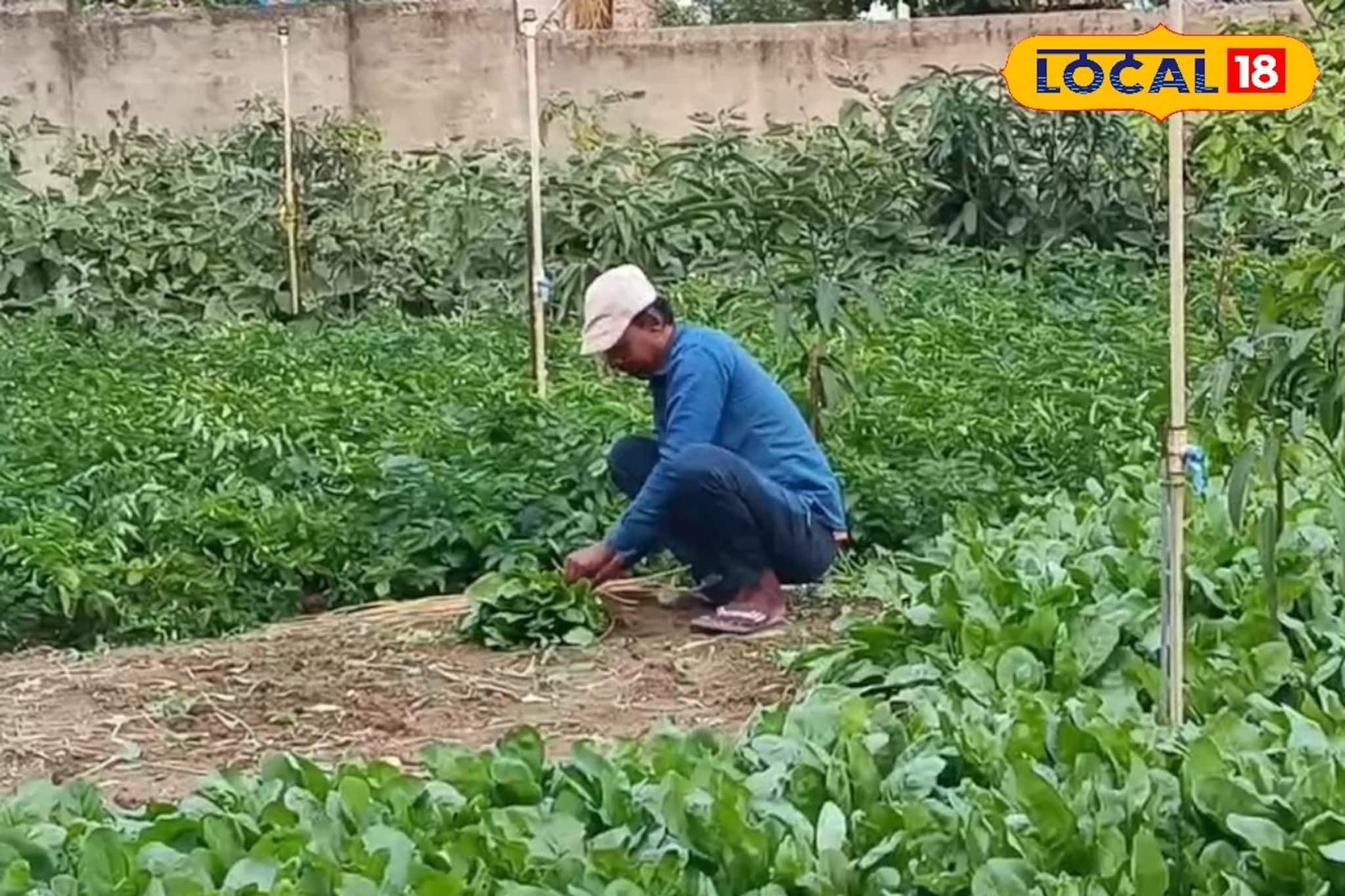 কেন প্রতিদিন সকালে সুশান্তর নার্সারিতে ভিড় জমাচ্ছেন মানুষ? বিকল্প পথেই বাড়ছে আয়