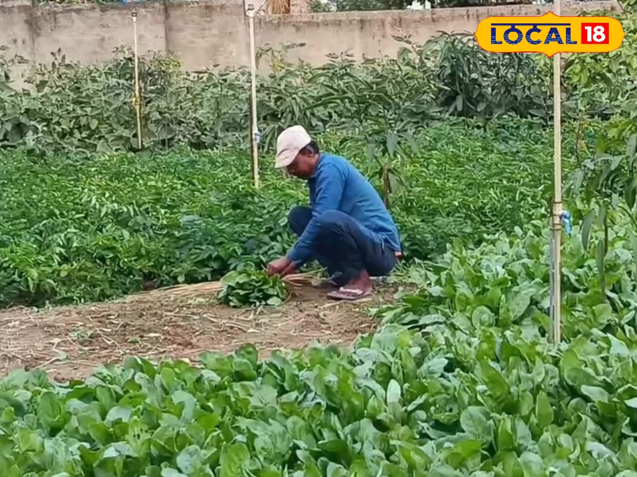 কেন প্রতিদিন সকালে সুশান্তর নার্সারিতে ভিড় জমাচ্ছেন মানুষ? বিকল্প পথেই বাড়ছে আয়