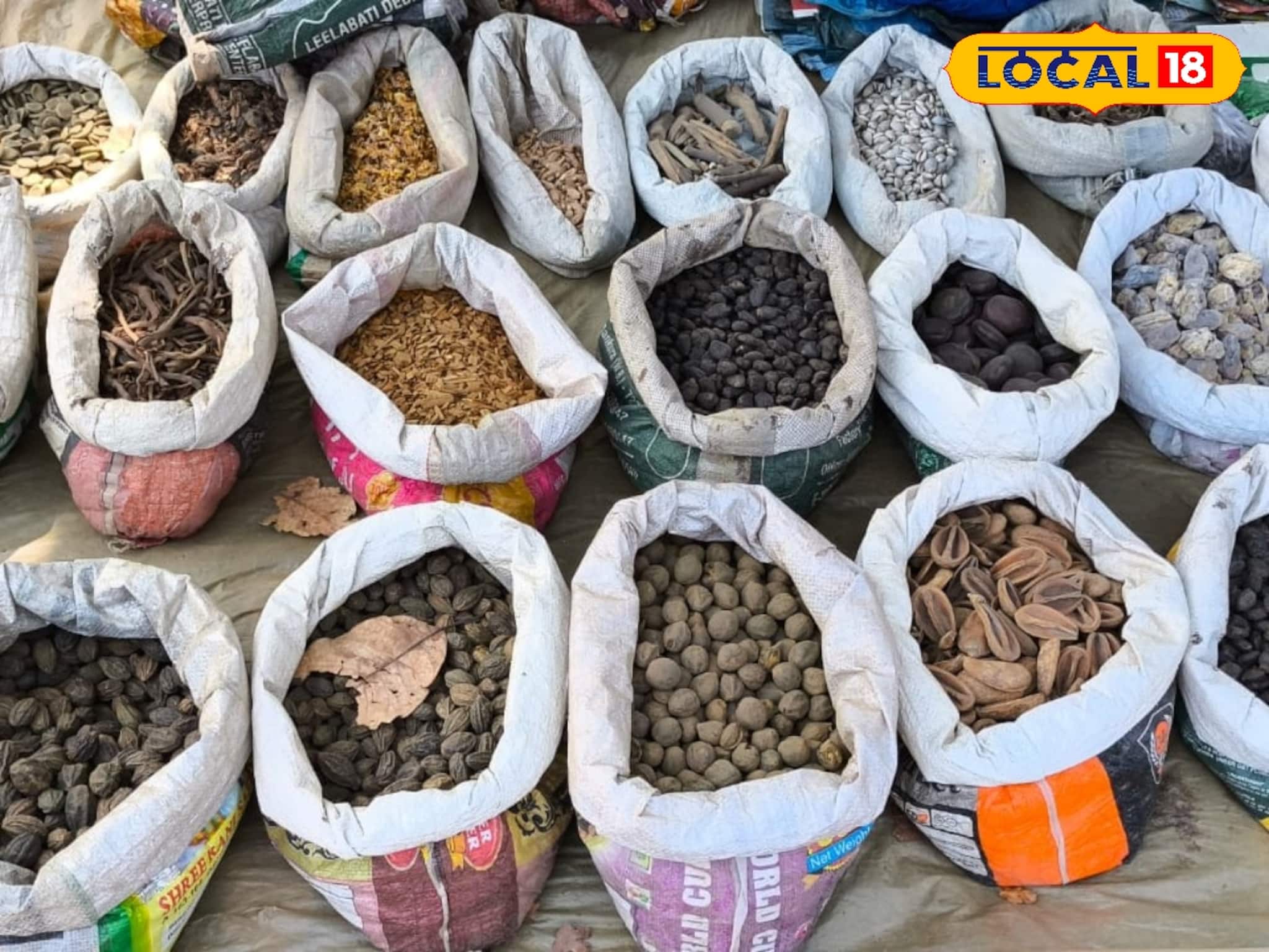 আয়ুর্বেদিক লোকজ ফলের বীজের সবচেয়ে বড় মার্কেট বাঁকুড়ায়, দেখুন ছবিতে