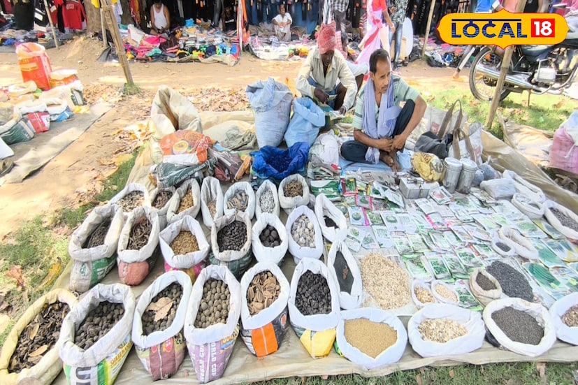 বাঁকুড়ার অন্যতম বৃহৎ আয়ুর্বেদিক বীজের বাজার বসে প্রতি সোমবার, বাঁকুড়া শহরের কাছেই শুনুকপাহাড়িতে। আয়ুর্বেদিক শুকনো বীজের সম্ভার মানুষের বিভিন্ন কাজে লাগে। অতি সোমবার পশুর হাটে, দেখতে পাওয়া যায় এই বীজের বাজারটিকে, যা অন্যান্য বাজারের সঙ্গে তুলনা করলে অনেক বড়।